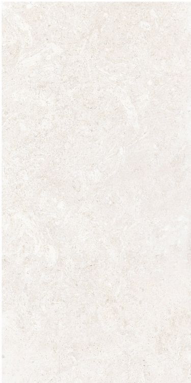 OL Limestone Bianco Matte 12 x 24
